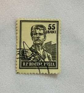 IMG 20241114 WA0010 IMG 20241114 WA0010