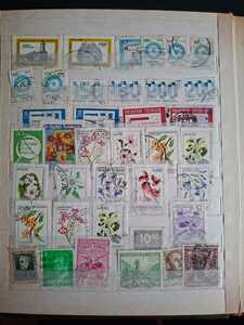 WhatsApp Image 2026 02 04 at 4.11.00 PM (3)