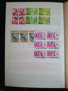 WhatsApp Image 2026 02 04 at 4.11.00 PM (1)