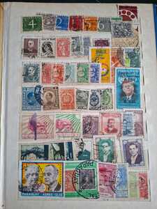 WhatsApp Image 2026 02 04 at 4.10.59 PM (1)