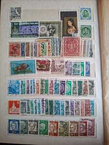 WhatsApp Image 2026 02 04 at 4.10.58 PM (1)