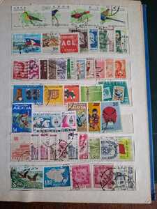 WhatsApp Image 2026 02 04 at 4.10.57 PM (1)