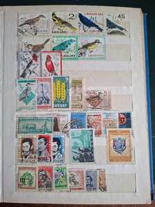 WhatsApp Image 2026 02 04 at 4.10.57 PM