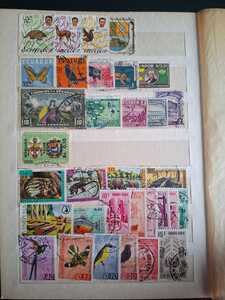 WhatsApp Image 2026 02 04 at 4.10.56 PM (2)