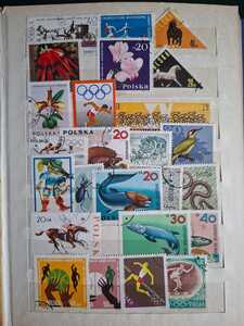 WhatsApp Image 2026 02 04 at 4.10.55 PM