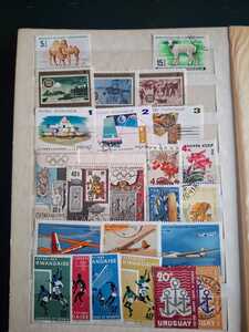 WhatsApp Image 2026 02 04 at 4.10.54 PM (2)