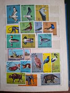 WhatsApp Image 2026 02 04 at 4.10.54 PM (1)