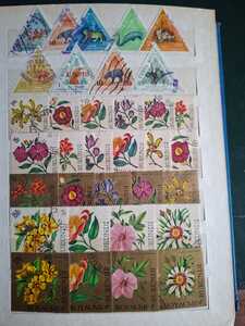 WhatsApp Image 2026 02 04 at 4.10.50 PM (1)