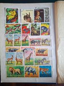 WhatsApp Image 2026 02 04 at 4.10.50 PM