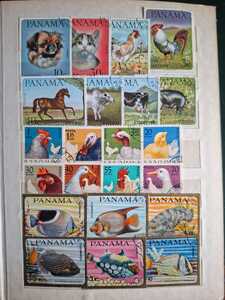 WhatsApp Image 2026 02 04 at 4.10.49 PM (2)