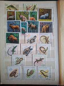 WhatsApp Image 2026 02 04 at 4.10.54 PM