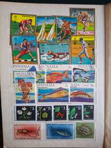 WhatsApp Image 2026 02 04 at 4.10.49 PM (1)