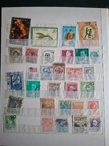 WhatsApp Image 2026 02 04 at 4.11.01 PM (3)