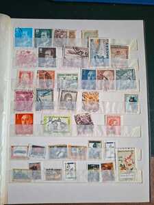 WhatsApp Image 2026 02 04 at 4.11.01 PM